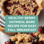 Healthy Berry Oatmeal Bars Breakfast Recipe