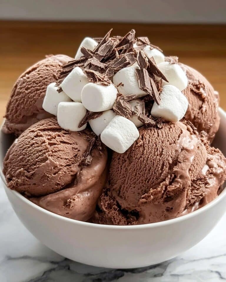 Creamy Frozen Hot Chocolate Ice Cream Recipe